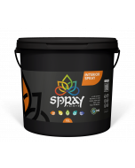 Spray Paints Black Label 1K Shiner